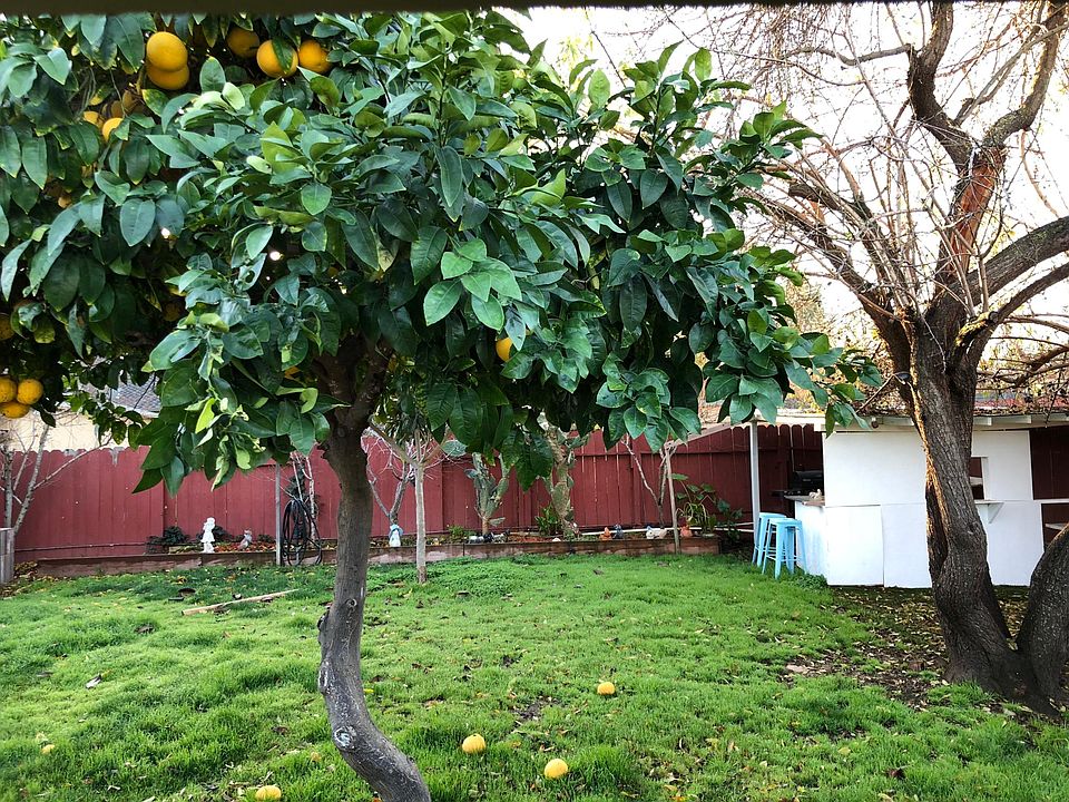 2nd image of 5233 Joseph Ln