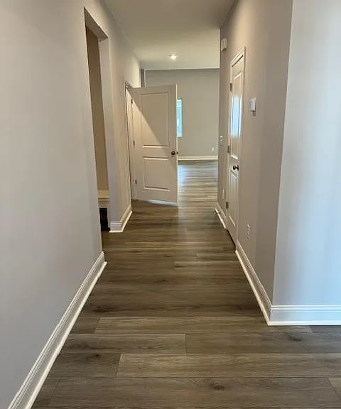 Mustang Cir — Photo 3
