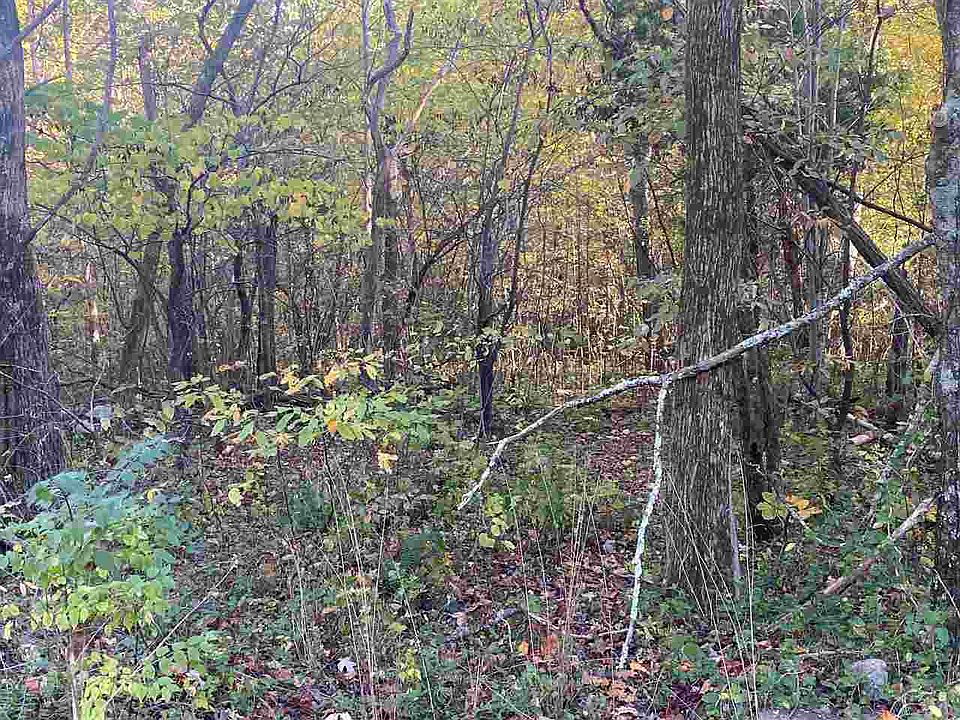 2nd image of English Mountain Rd