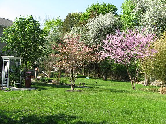 So pretty a backyard