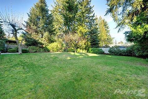back yard (2)