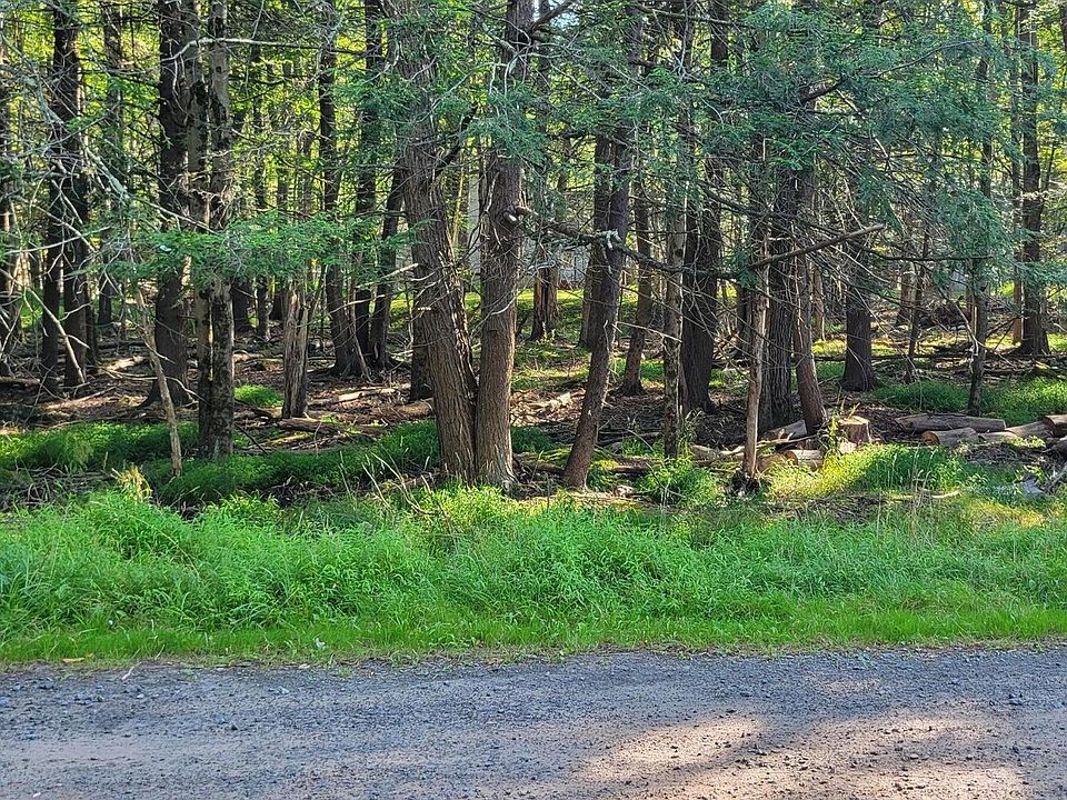 2nd image of Netcong Cir #33