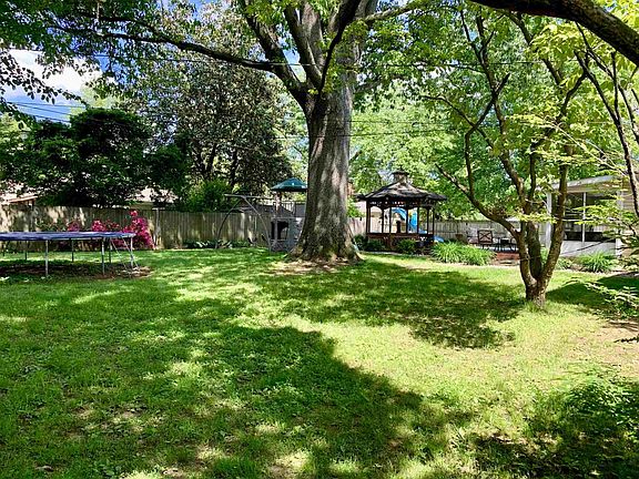 Park like setting backyard
