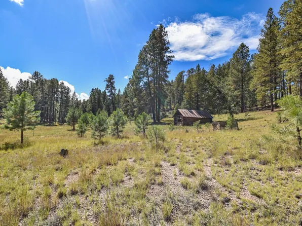 Jemez Mountain Forest Rd #10, Jemez Springs, NM 87025