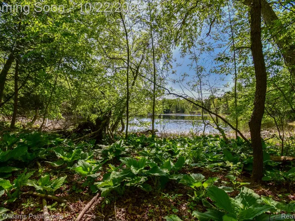 0 Hunters Creek Rd, Attica, MI 48412