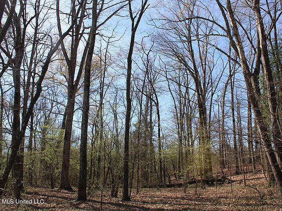 2nd image of 10 Barton Desoto Rd