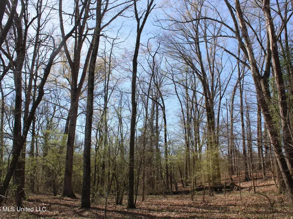 7 Barton Desoto Rd, Olive Branch, MS 38654