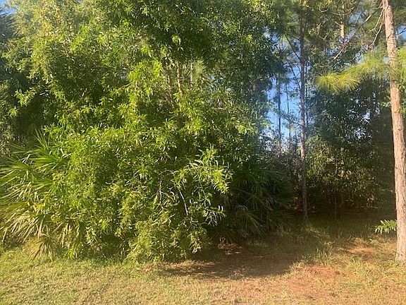 3rd image of 5337 NW Alam Cir