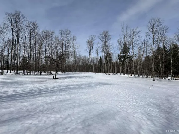 19185 Dog Patch Rd Lot E, Lanse, MI 49946