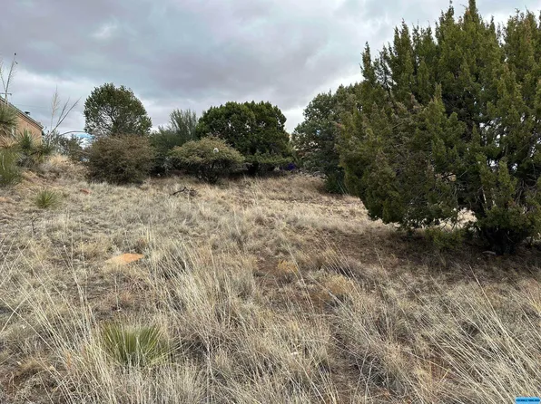 Xx Katheryne Cir, Silver City, NM 88061