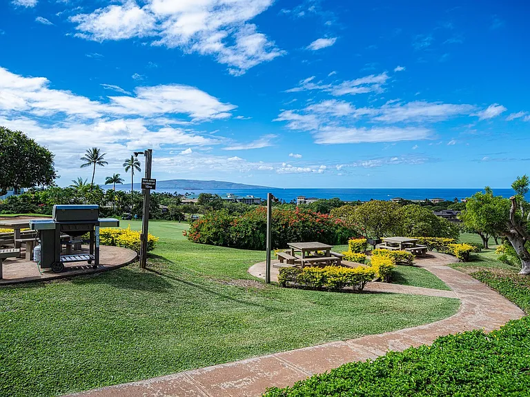 Wailea Ekolu Pl — Photo 29
