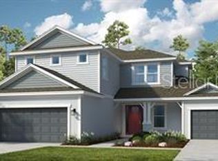33374 Castaway Loop, Wesley Chapel, FL 33543
