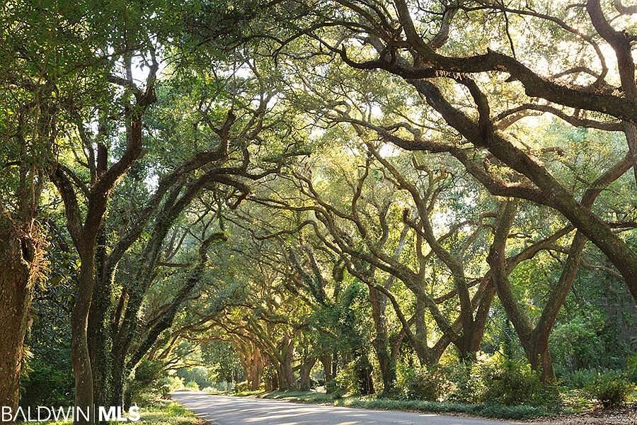 14469 Oak St, Magnolia Springs, AL 36555 MLS 325183 Zillow