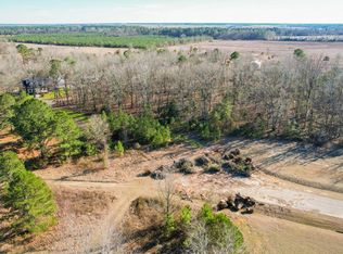 0 Brewton Dr, Stapleton, GA 30823