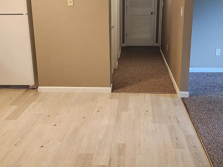 Main Apartment Entrance - Open Concept Living Room on the Right and Kitchen on the left
