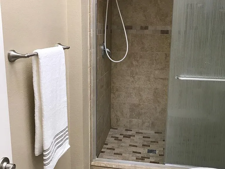 Walk-in Primary Shower
