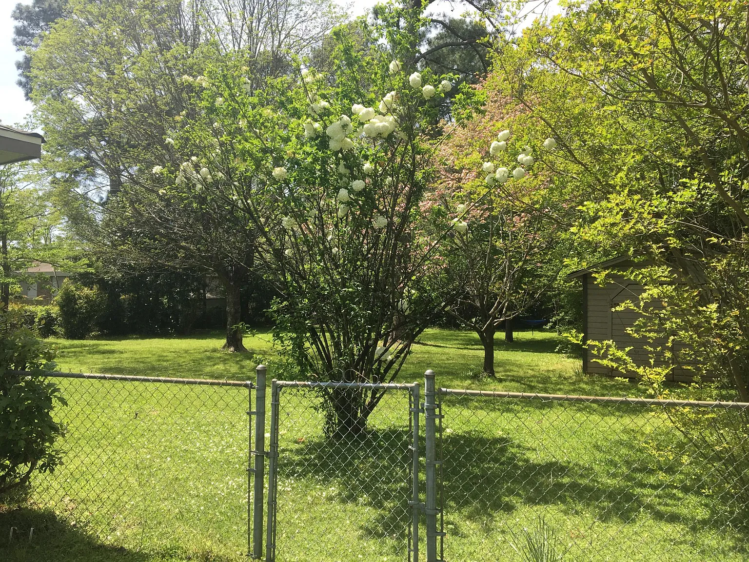 3 bed, 1650 sqft, $1,350 — Photo 4