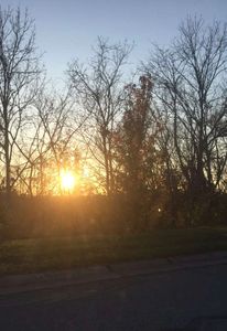 4897 Far Hills Dr, Independence, KY, 41051