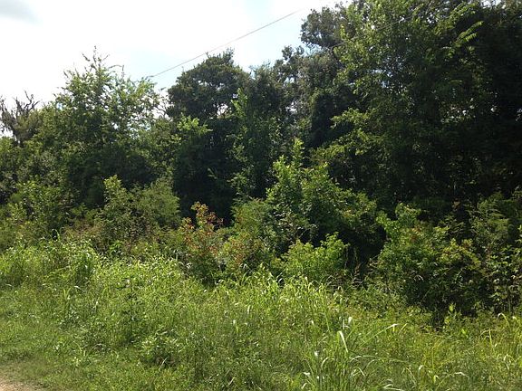 5th image of 18155 County Road 319
