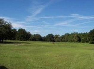 446 Georgetown Shortcut Rd, Crescent City, FL 32112