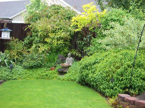 Garden area