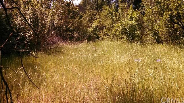1st image of 15743 31st Ave