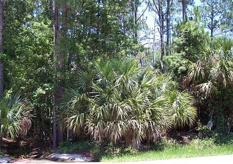 4th image of 45 Ponce Deleon Dr #A
