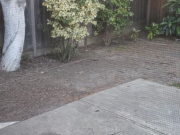 5th image of 4497 Hamilton Ave APT 3