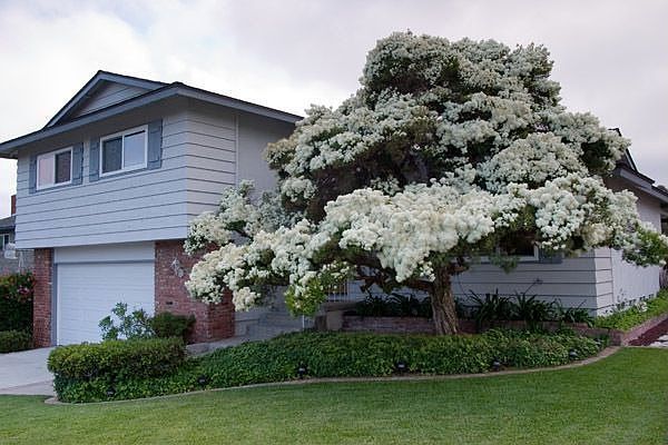 1st image of 6156 Tamilynn St