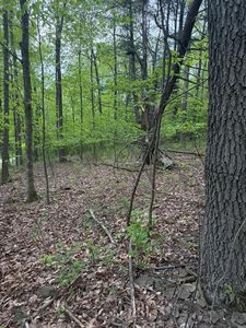 0 Orange Hill Rd, Athens, PA, 18810