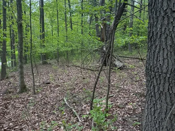 0 Orange Hill Rd, Athens, PA 18810