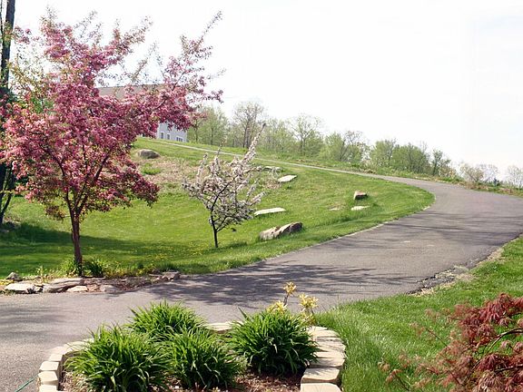 Panoramic view of the front yard