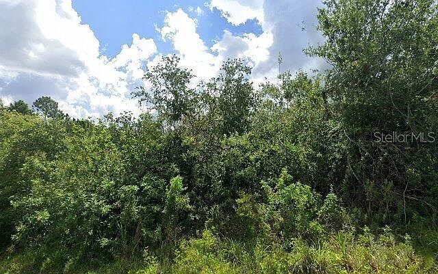 1st image of 2336 DRENNON STREET LOT 4