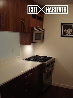 Rented by Citi Habitats | media 46