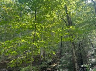 0 U.S. 46, Mine Hill Twp., NJ 07803