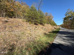 Chimney Rock Rd, New Tazewell, TN 37825