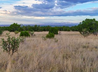 63 Pioneer Way, Cerrillos, NM 87010