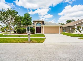 1933 Sedgefield St, Brandon, FL 33511