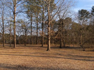 LOT 4 Will Suitt Rd Lot 4, Creedmoor, NC, 27522