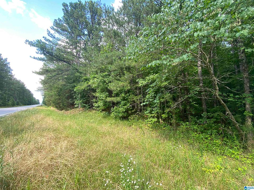 2nd image of 0 Highway 145 #1