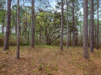 5524 Dansby Pl, Tallahassee, FL, 32311