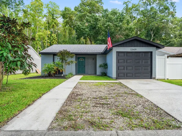 12419 Hidden Brook Dr, Tampa, FL 33624