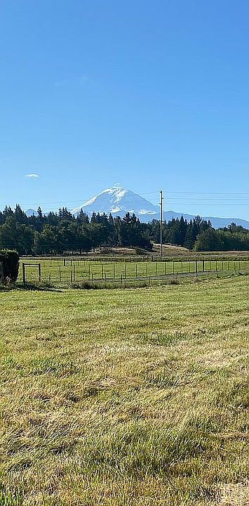 View of Mt. Rainier 