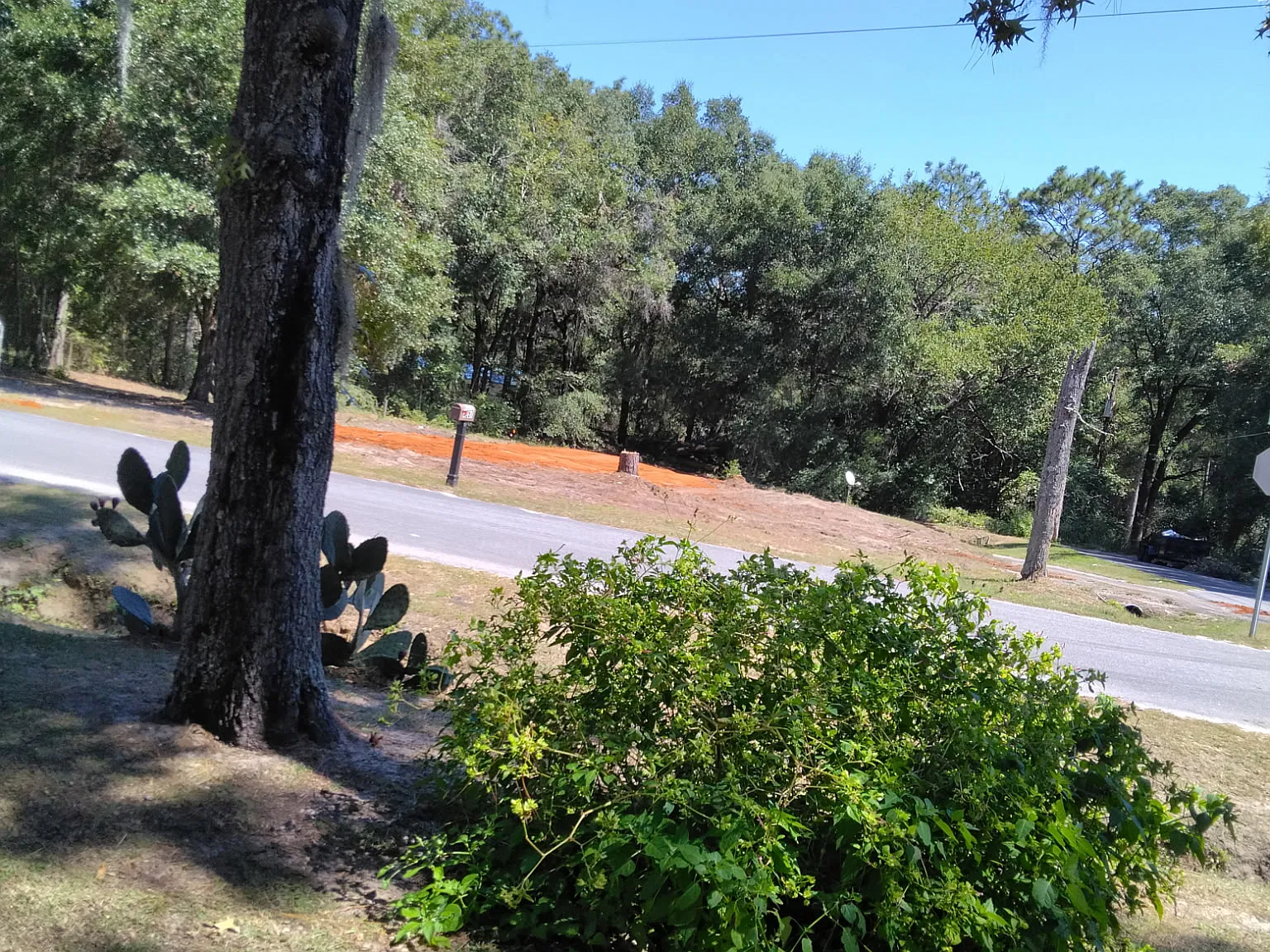 2 bed, 728 sqft, $1,295 — Photo 2