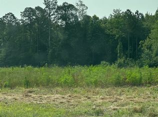 TRACT 30 Hays Mill Rd, Elkmont, AL 35620