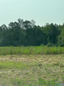 TRACT 30 Hays Mill Rd, Elkmont, AL, 35620
