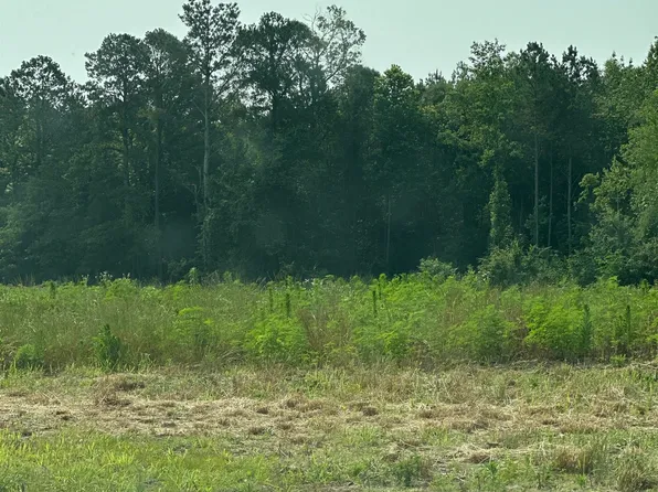 TRACT 30 Hays Mill Rd, Elkmont, AL 35620