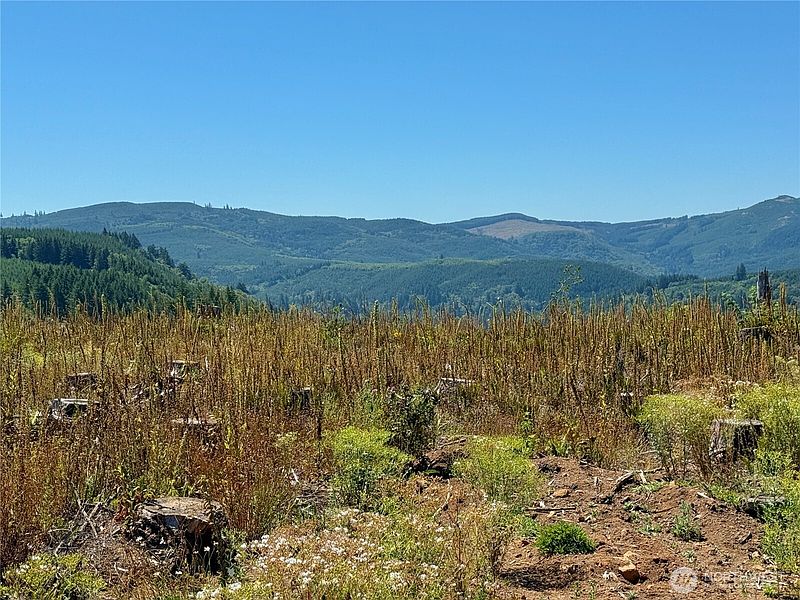 2nd image of 3700 Little Kalama River Road #6