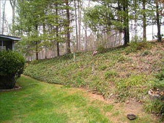 3rd image of 100 Terramont Dr