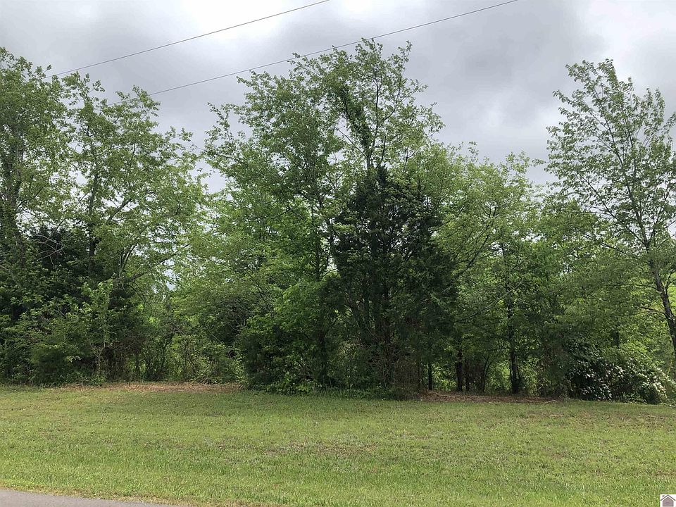 1st image of LOT 91 Wildcat Dr